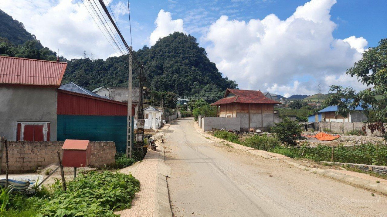 3626562 ảnh đại diện 1