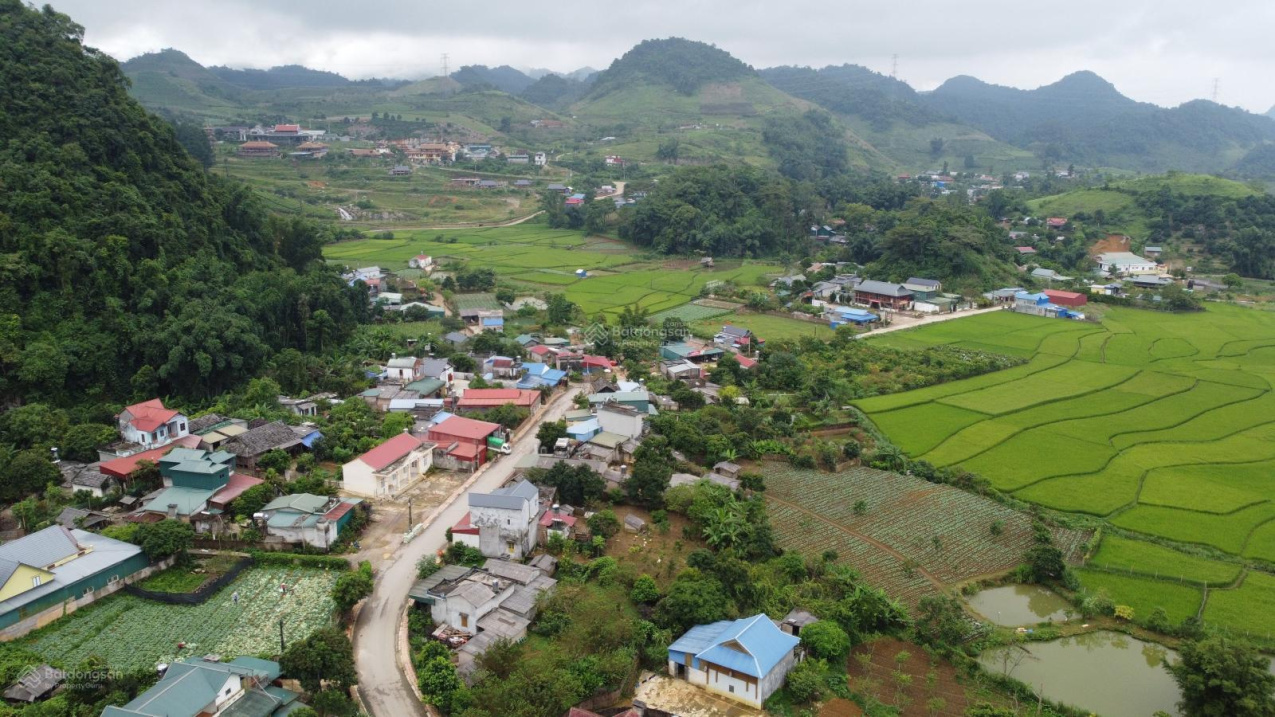 3626562 ảnh đại diện 2
