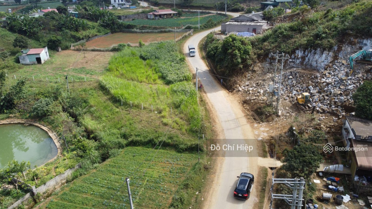 3626564 ảnh đại diện 1