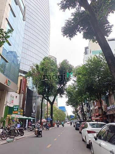 3630811 ảnh đại diện 1