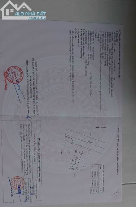3629432 ảnh đại diện 1