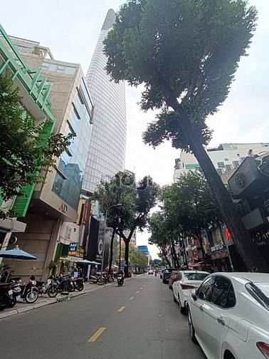3630811 ảnh đại diện 1