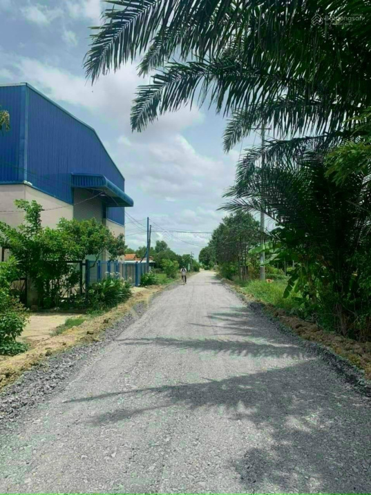 3639432 ảnh đại diện 1