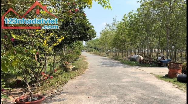 3643723 ảnh đại diện 2