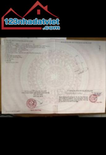 3642350 ảnh đại diện 2