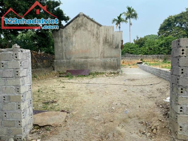 3641235 ảnh đại diện 1
