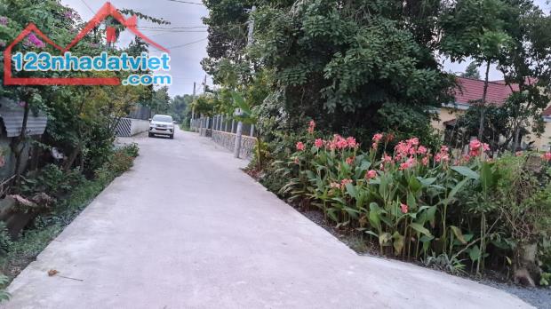 3641608 ảnh đại diện 1