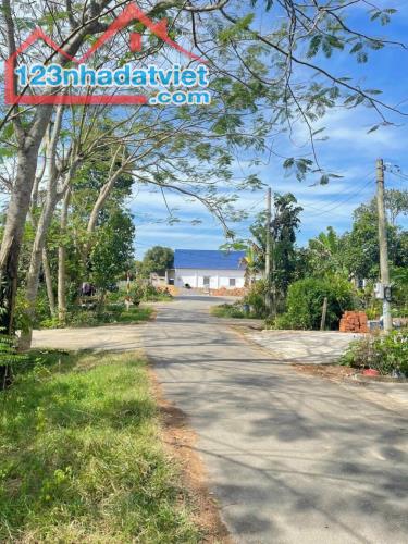 3643723 ảnh đại diện 1