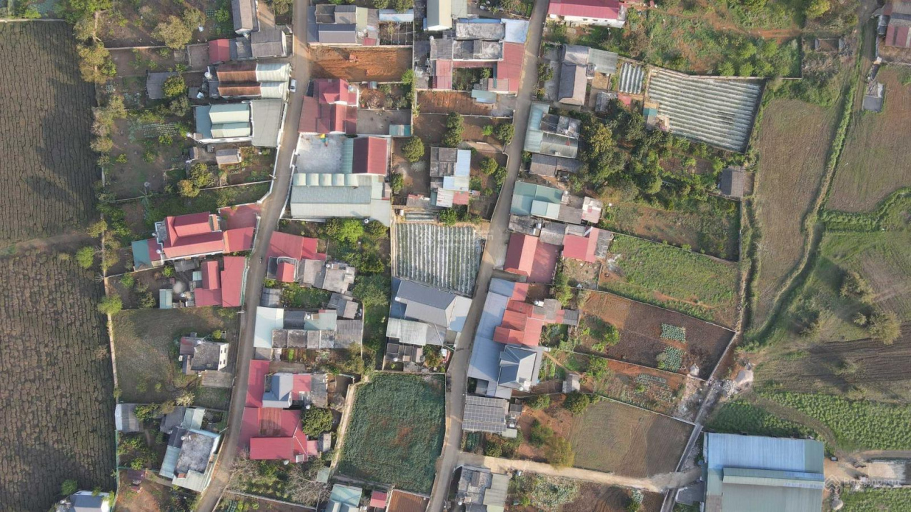 3647621 ảnh đại diện 1
