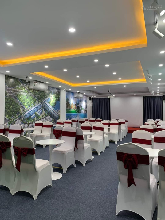 3646359 ảnh đại diện 2