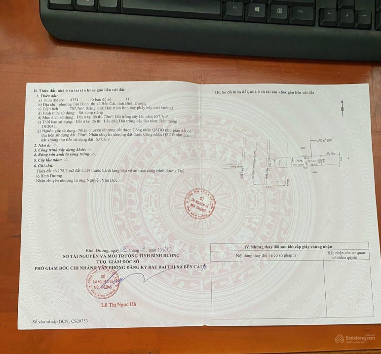 3647183 ảnh đại diện 2