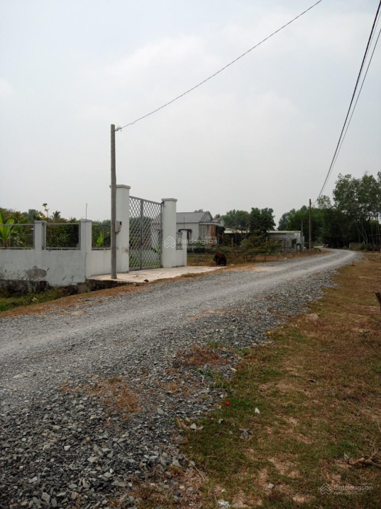 3648293 ảnh đại diện 1