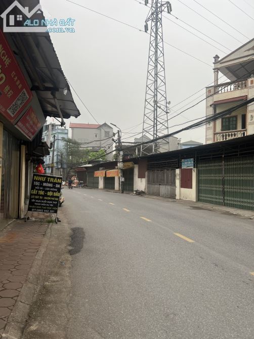 3650665 ảnh đại diện 1