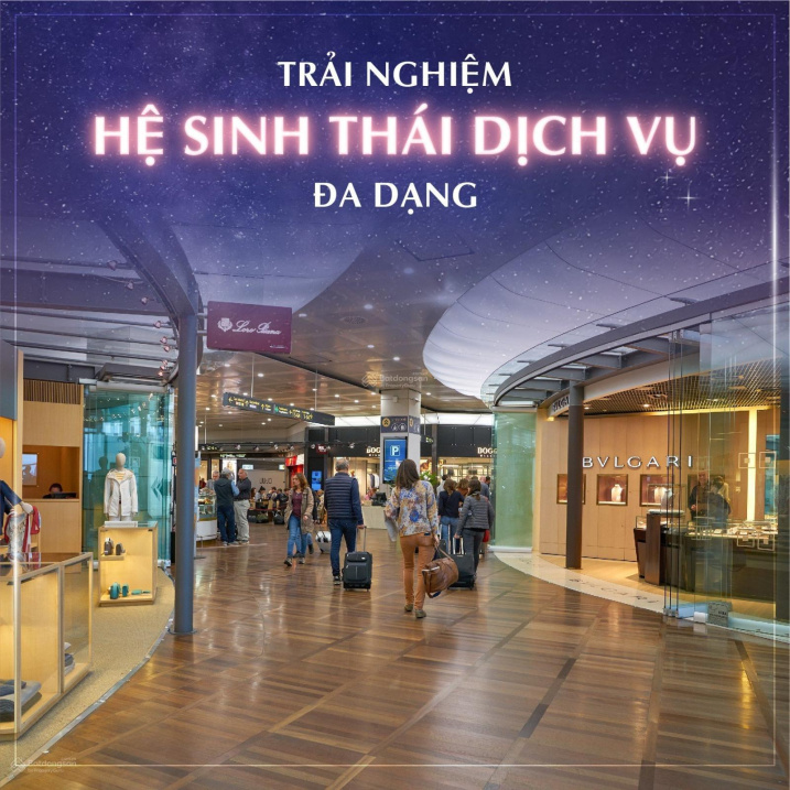 3652536 ảnh đại diện 2