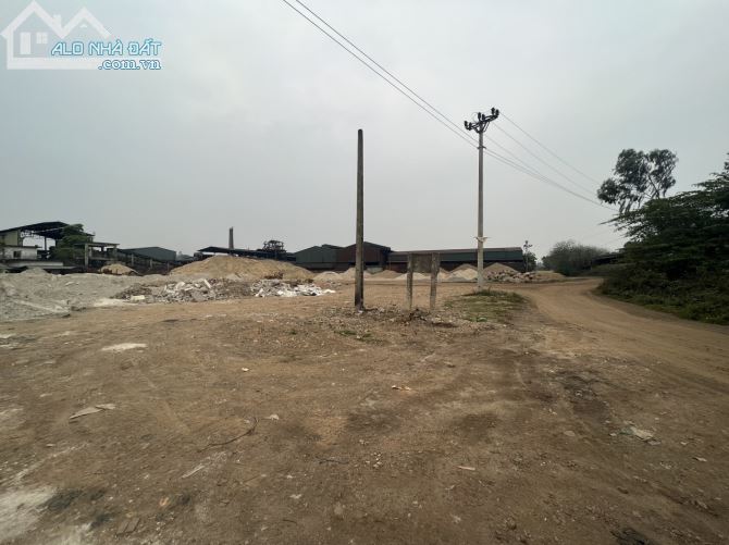 3652967 ảnh đại diện 1