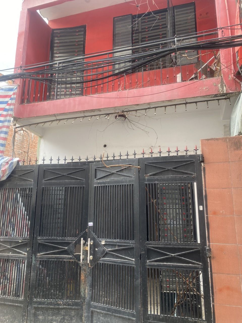 3655469 ảnh đại diện 1