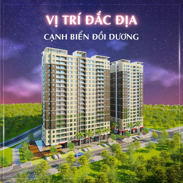 3652536 ảnh đại diện 1