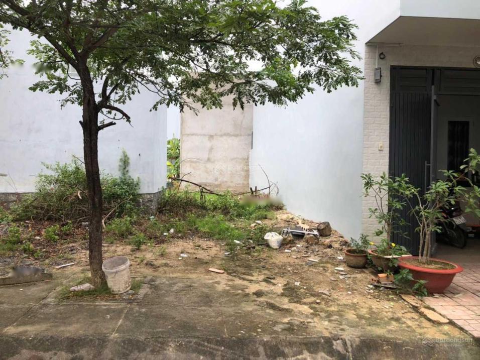 3660631 ảnh đại diện 1