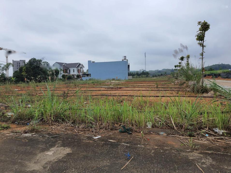 3661604 ảnh đại diện 1