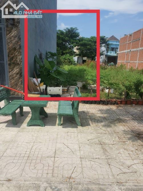 3657910 ảnh đại diện 1