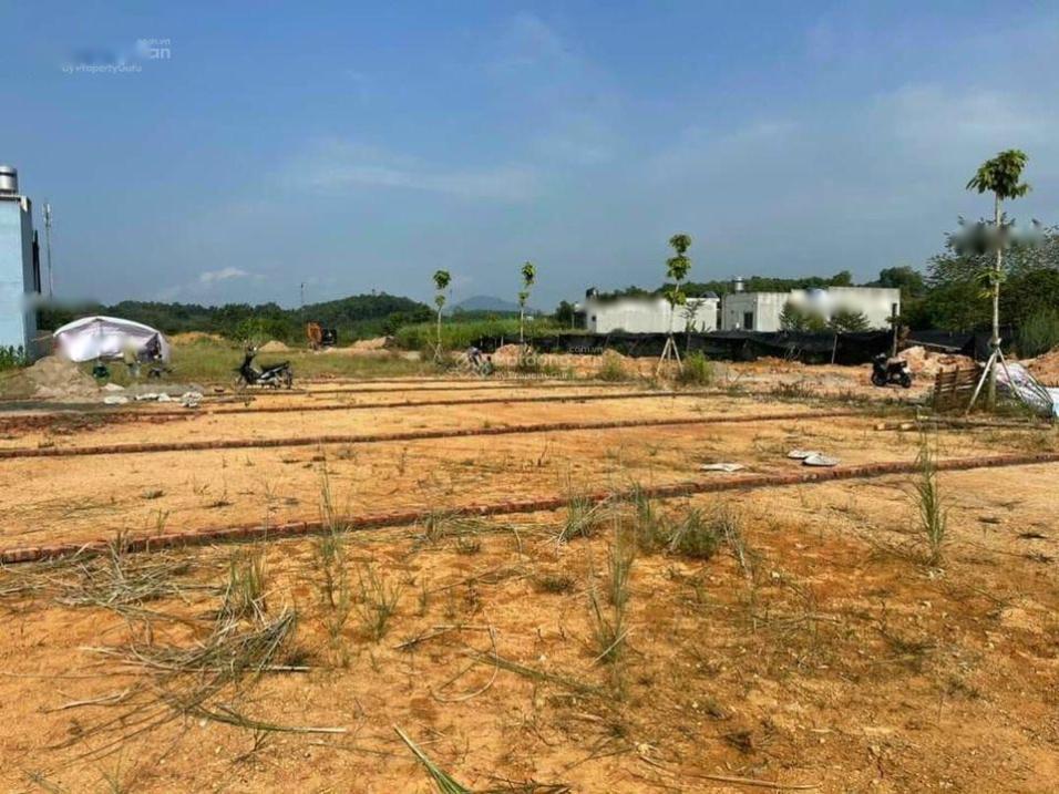 3661604 ảnh đại diện 1