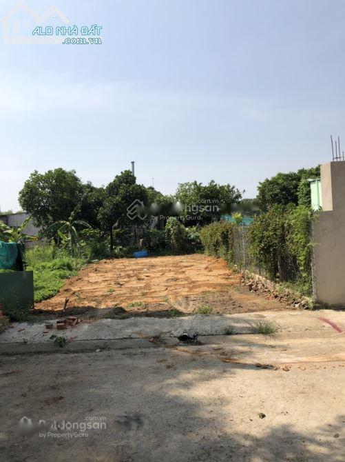 3663175 ảnh đại diện 1