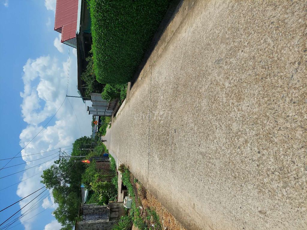 3666909 ảnh đại diện 1