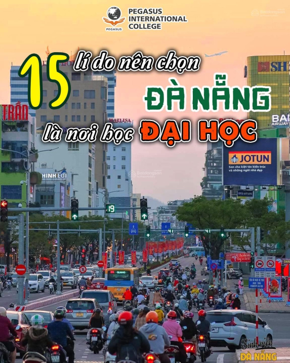 3667442 ảnh đại diện 1