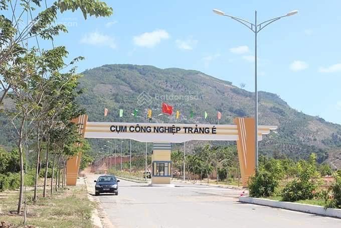 3667494 ảnh đại diện 1