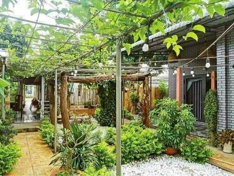 3670210 ảnh đại diện 1