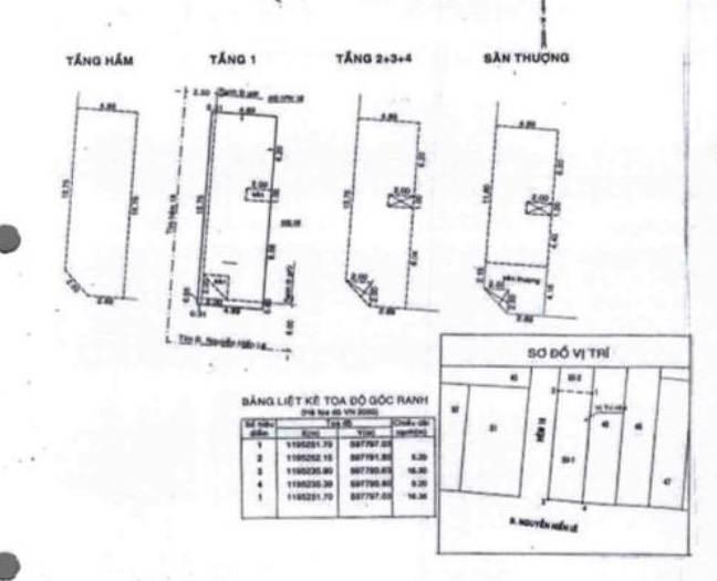 3675290 ảnh đại diện 1