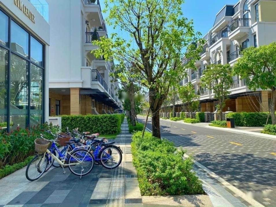 3672704 ảnh đại diện 1