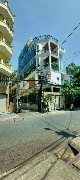 3675292 ảnh đại diện 1