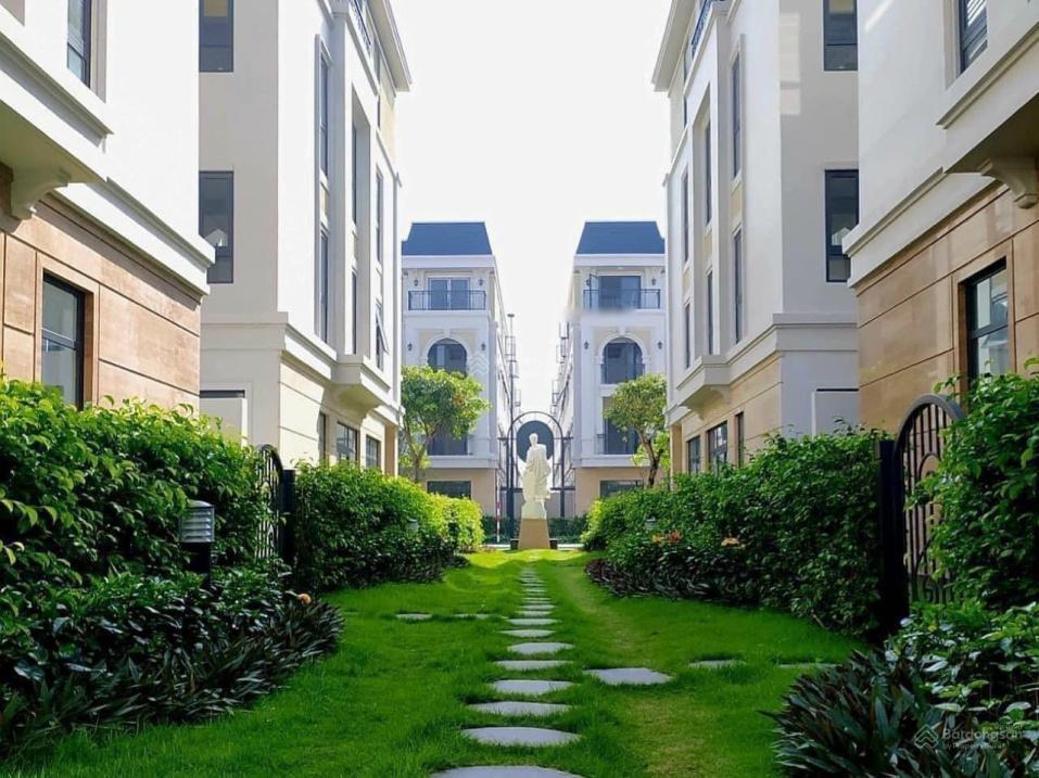 3672704 ảnh đại diện 1