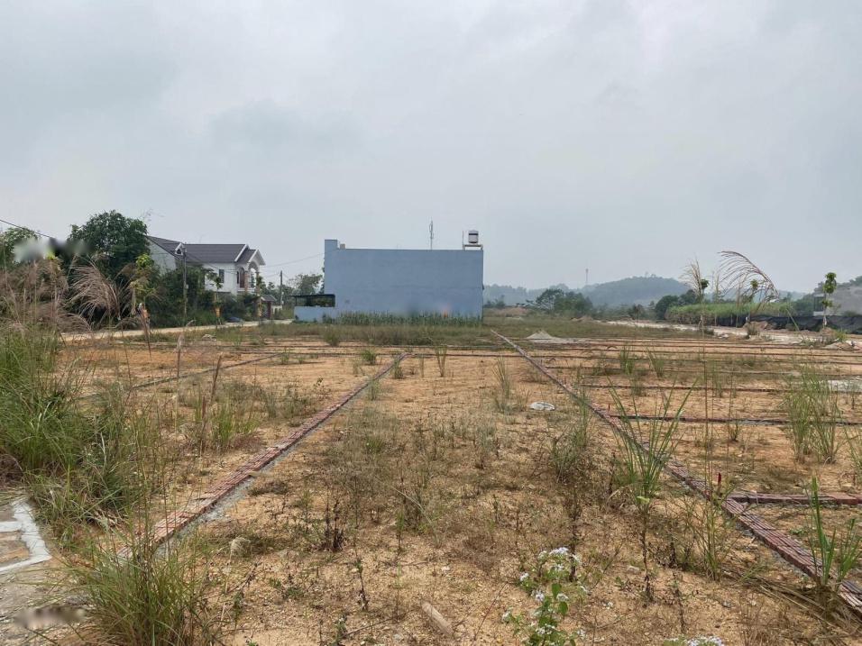 3680417 ảnh đại diện 1
