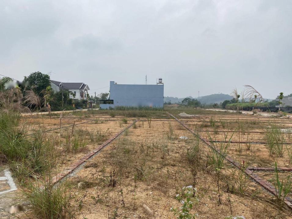 3680382 ảnh đại diện 2