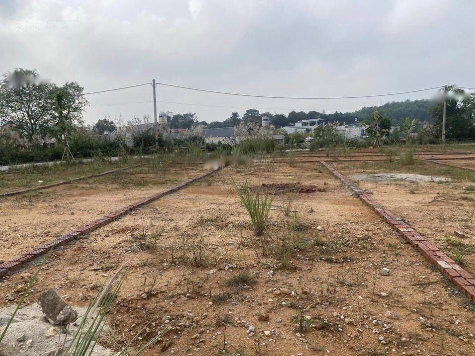 3680420 ảnh đại diện 1