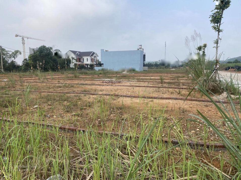 3680414 ảnh đại diện 2