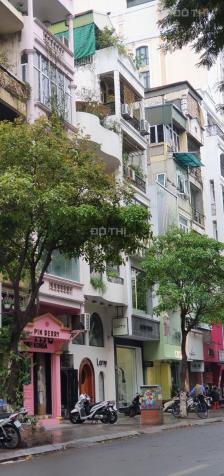 3679510 ảnh đại diện 2