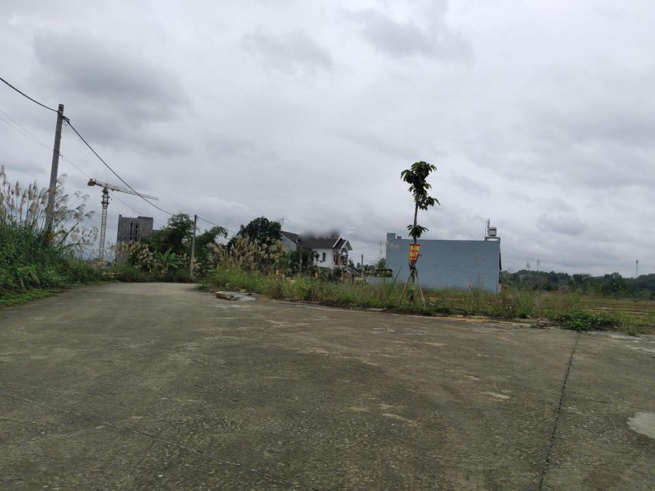 3680385 ảnh đại diện 1