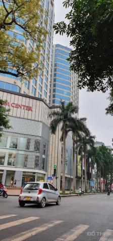 3679510 ảnh đại diện 1
