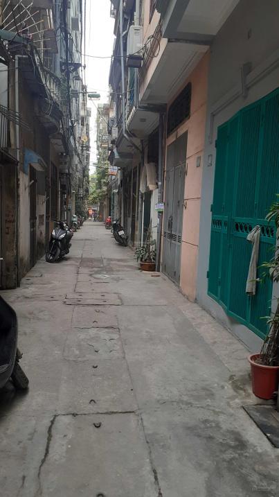 3679731 ảnh đại diện 1