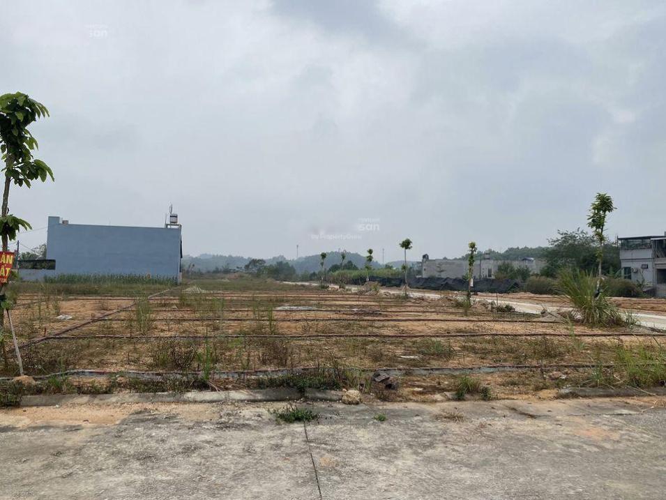 3680413 ảnh đại diện 1