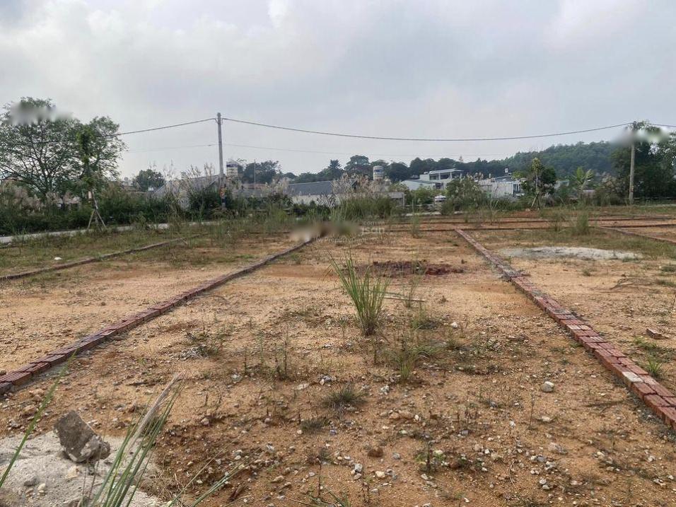 3680415 ảnh đại diện 2