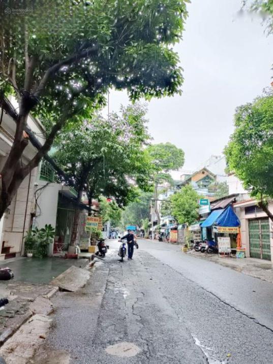 3681899 ảnh đại diện 1