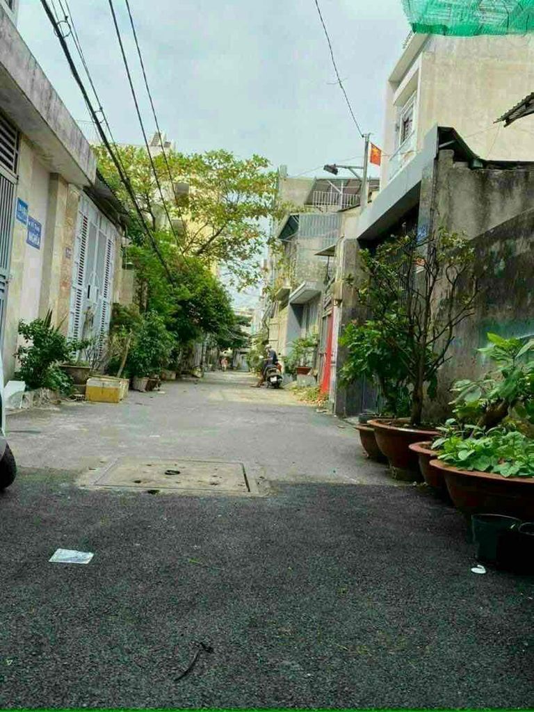 3677528 ảnh đại diện 1