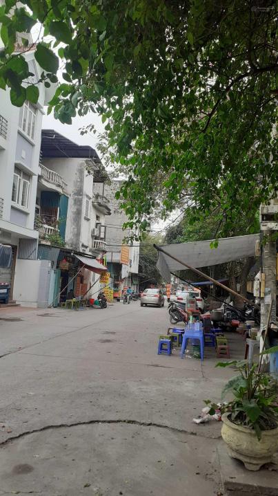3679731 ảnh đại diện 1