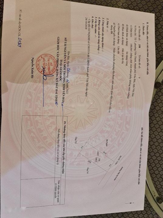3680415 ảnh đại diện 1