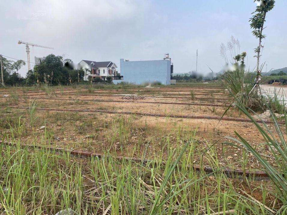 3680420 ảnh đại diện 2