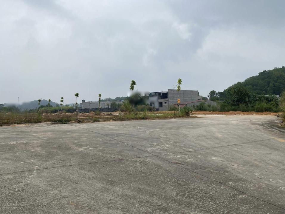 3680417 ảnh đại diện 1